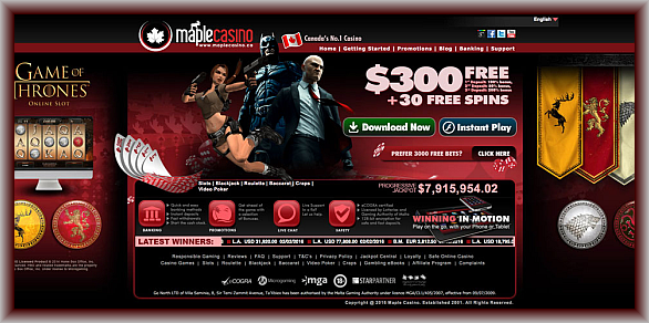 onlinecasinocenter-net_maple-casino-banner